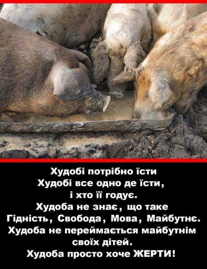 Арахамія не виключив розкол монобільшості - Цензор.НЕТ 3604