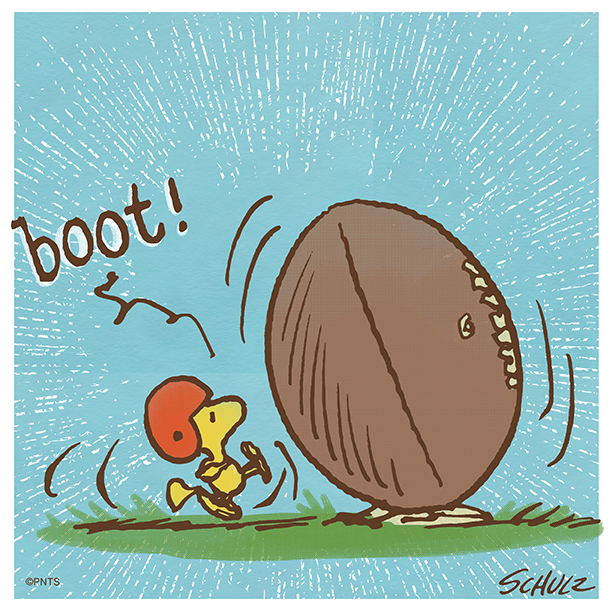Woodstock's tweet photo. ""''""" ''' ''' ''''''! #FootballSunday 🏈 https://t.co/VFuBnfZnV9