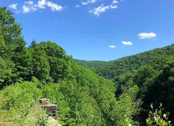 5/ Over the spring and into the summer, I gradually increased my walking distance. In July, I completed a 4.5-mile hike in the beautiful  #Berkshires (albeit with many stops along the way).