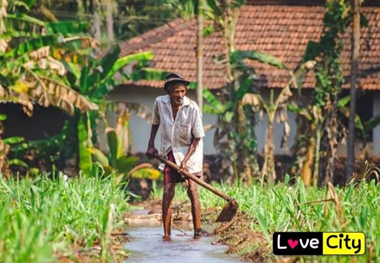 சேற்றில்  எவ்வளவு உழன்றாலும் 
பிறருக்கு சேறு பூசியது இல்லை 
#விவசாயி