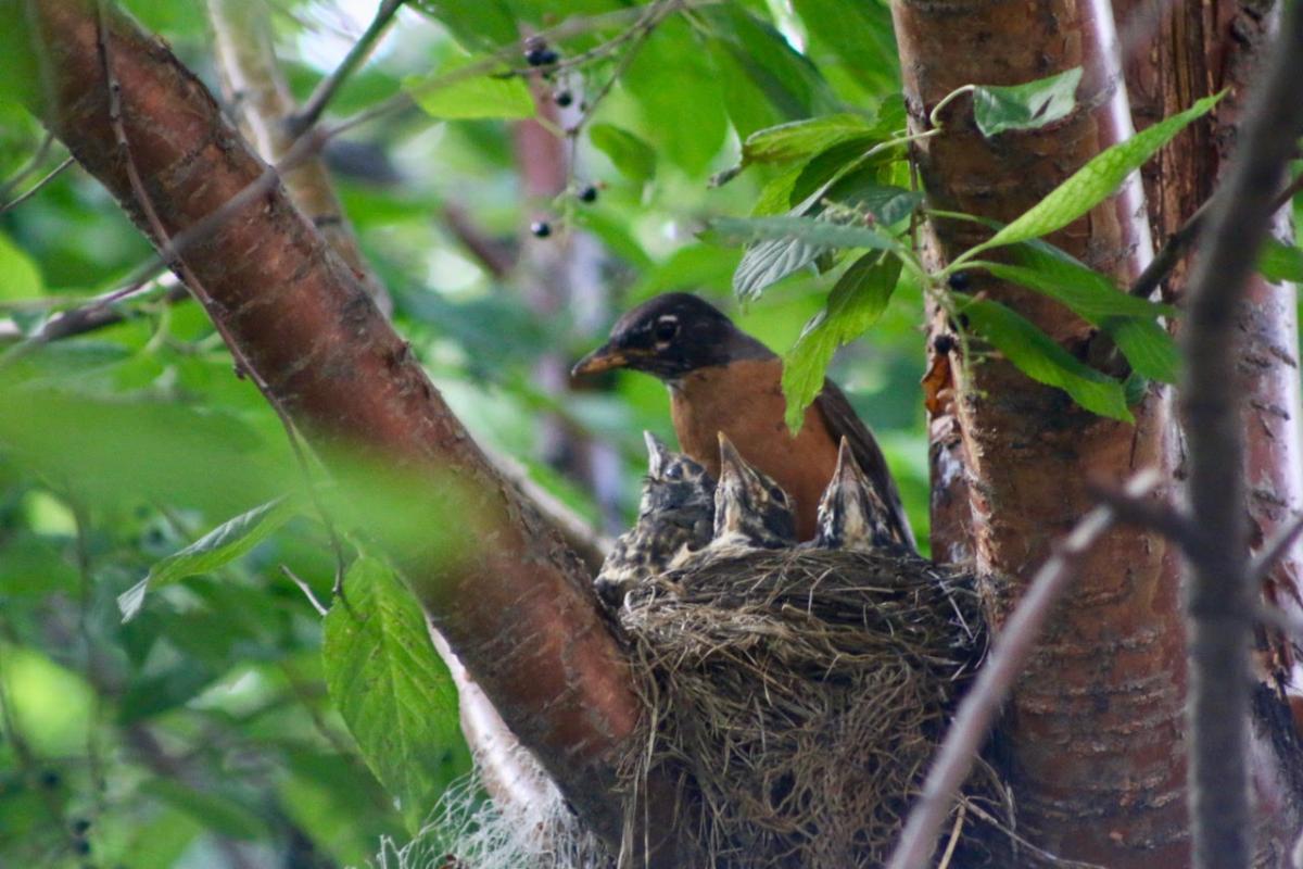 Season of Creation  September 3 - 8Not in the Five year plan.bit.ly/3m7Wd2Q conta.cc/32bGwjm