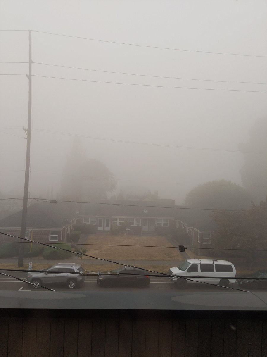 Greetings from Portland, where you can't see further than the house across the street 🙃