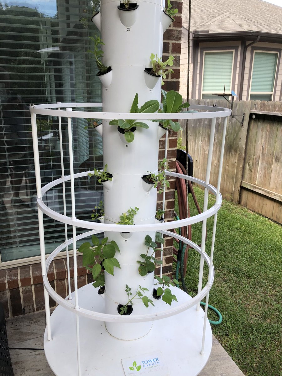 sabshier1950's tweet photo. Round 2 of my Tower Garden!  Round 1 was a huge success!  Lots of greens for salad, tomatoes, and cucumbers! #Towertotable https://t.co/6EyFuU0CsC