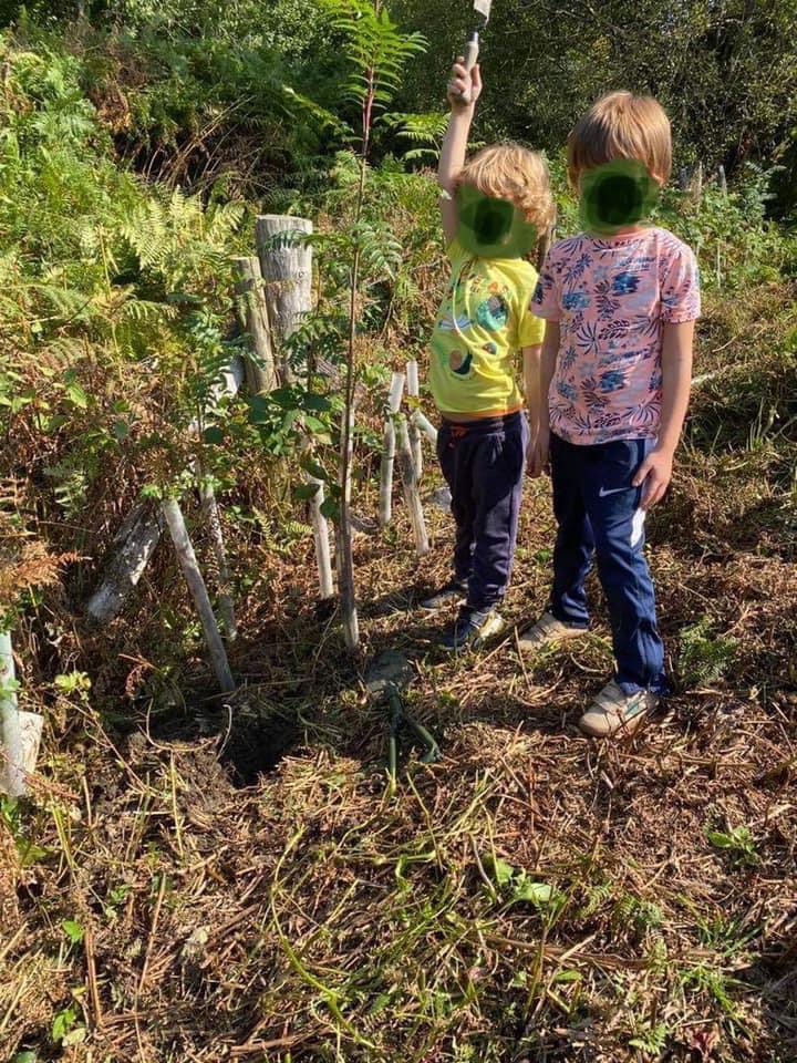 ValleyDare's tweet photo. Such a beautiful day at our #BeTheChange community volunteering day: scrub clearance, planted trees, bird feeders, enjoyed soup together around the fire and lots of cwtches with the rabbits & chickens #communitywoodland #treechartergroup #cooperative @CoedCadw @lovesmallwoods https://t.co/Z7cgOJjW1I