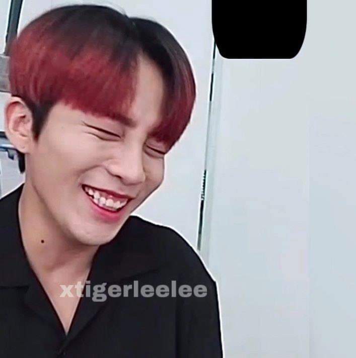 Jongho's beautiful smile : a thread to make your day^^