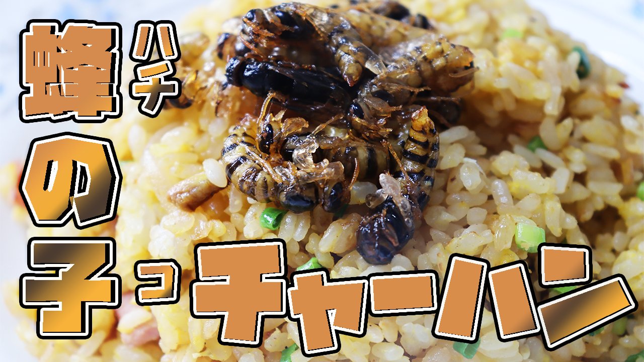 ツキヂ 築地キッチン 料理系youtuber 10週連続投稿 今週は第2回昆虫回です 魚料理はしばしお待ちを 高級食材の蜂の子料理動画です 昆虫食 キイロスズメバチの蜂の子料理 高級食材と言われる昆虫を美味しく料理しました チャーハンの作り方