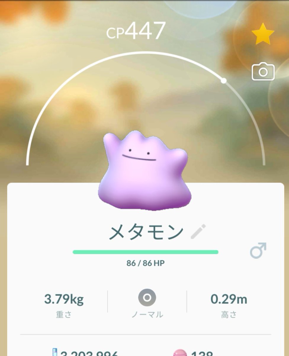 モコモコ あみぐるみ メタモンに性別がある 他の子は無いのに