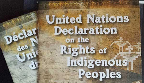 MNC_tweets's tweet photo. Today, September 13, marks the 13th UN anniversary of the adoption of the UN Declaration on the Rights of Indigenous Peoples. The Métis Nation Calls on the Government of Canada to Adopt Legislation Implementing the United Nations Declaration on the Rights of Indigenous Peoples. https://t.co/VXA93e7QVr