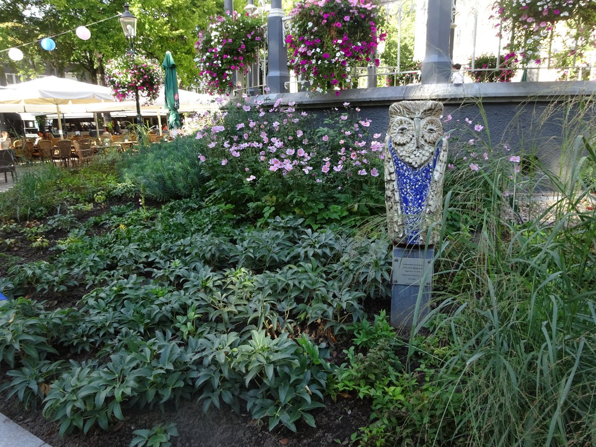 Onno Staal tweet media