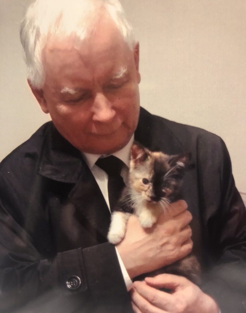 A_Paderewska's tweet image. Dziękuję za nominację @AKordowska 😊 Całym ❤️ z inicjatorem tej fantastycznej akcji, która łączy wszystkich dobrych ludzi ponad partyjnymi podziałami. Nominuję @MarekKuchcinski i @GNieradka 
#StopFurChallenge
#PiatkaDlaZwierzat
#mójKot