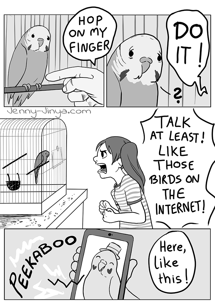 I wanted to draw this comic for a long time, but I never knew how to approach this issue. In my childhood all my friends had budgies, all of them were put aside somewhere and left alone. Treated like 'annoying' decoration. Don't get a bird if you can't meet its needs. 1/3