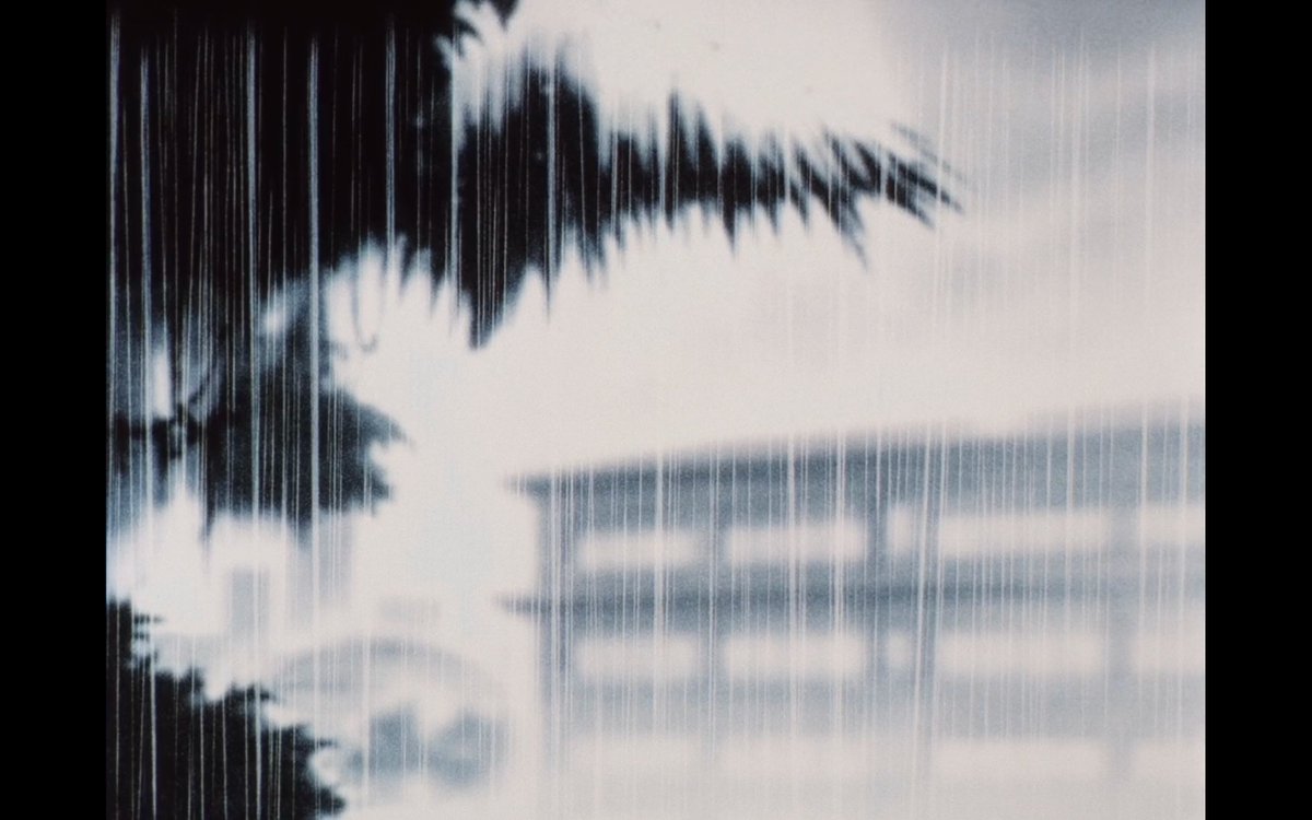 Faye at appoint regains her memories of the past only to realise that regaining her memories from the past does not satisfy her at all. Instead, it hurts her immensely and makes her anxious as to where she must go to where does she belong.