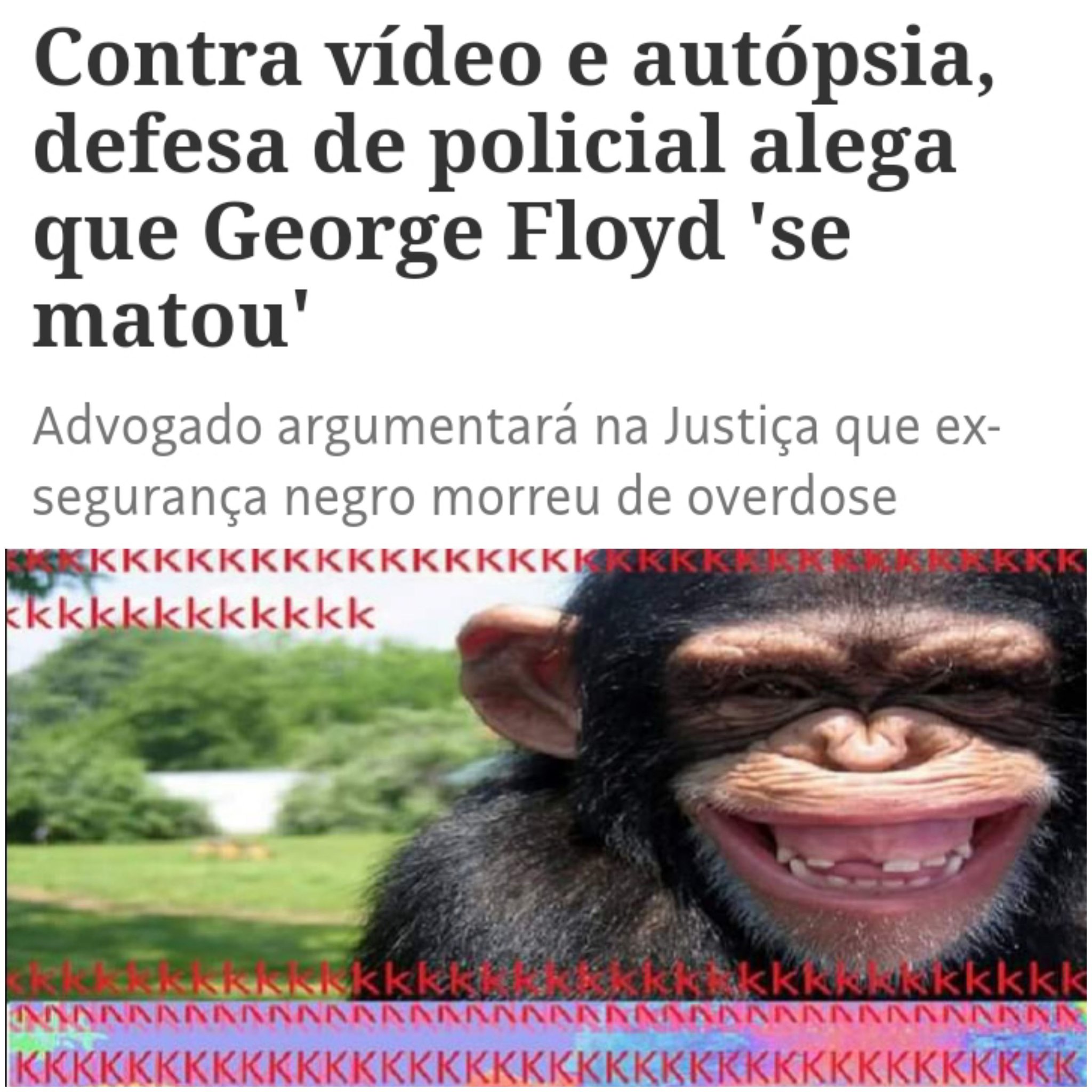 Macacos rindo de noticia chocantes