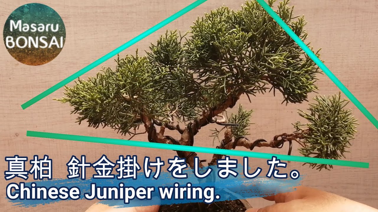 不等辺三角形 Twitter Search Twitter