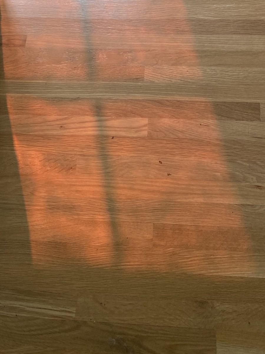 The only way I can actually photograph the color of the sky is to take pictures of the orange shadows it casts on my floor because the makers of iPhones didn’t envision anyone needing to document non-sky-colored skies  #climatechangeisreal(3)