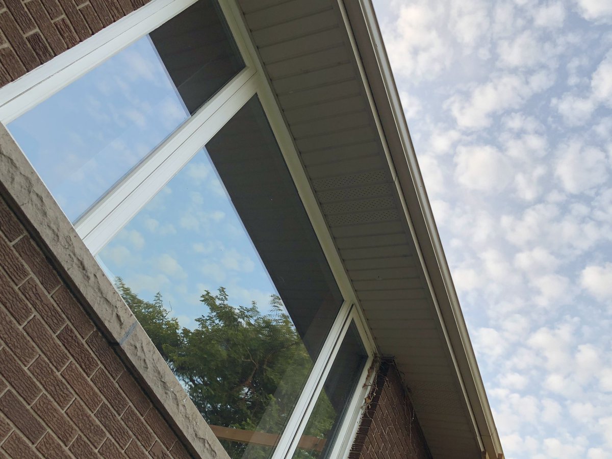 Garner_Beckett's tweet image. This silent killer has just taken out two birds in 2 days #windowcollision. The kids wanted to pay tribute but we need to make it #birdsafe @SafeWingsOtt