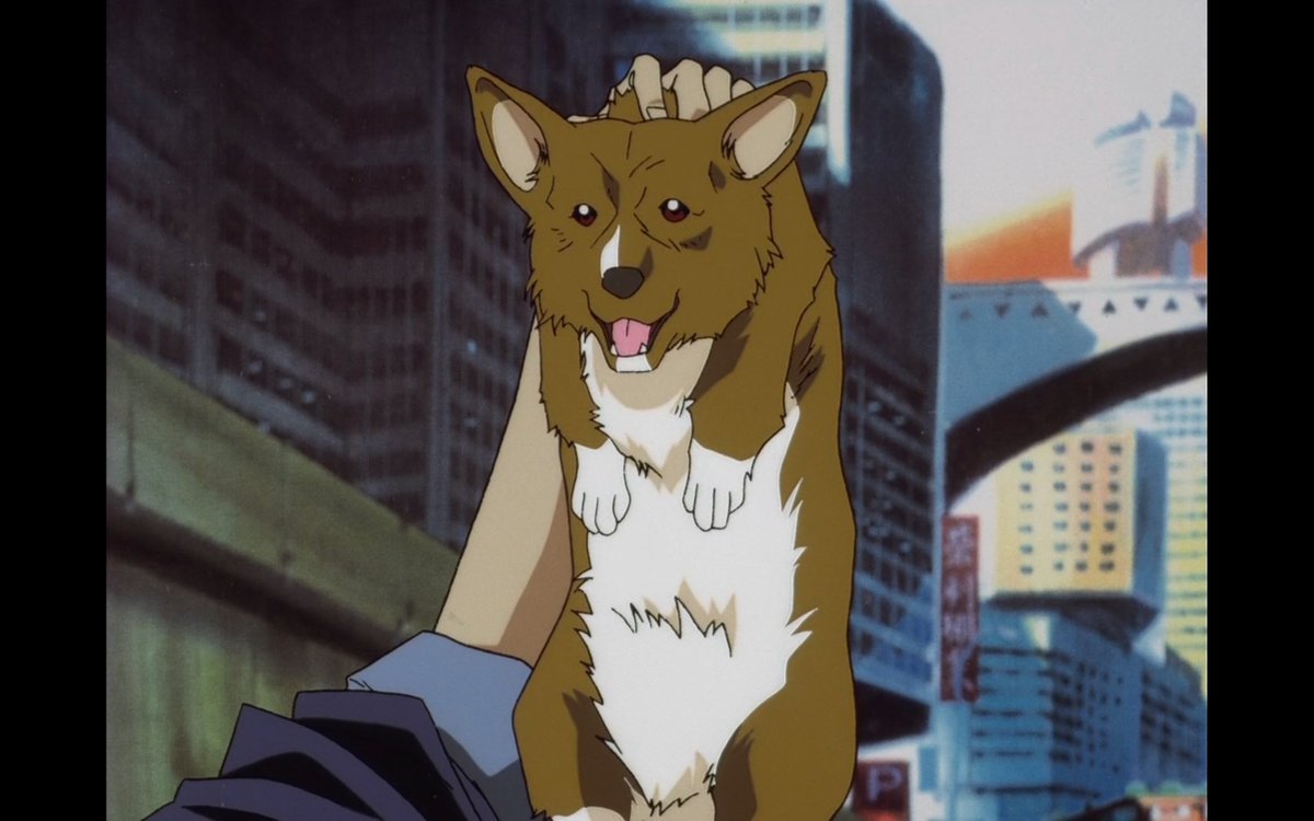 Even though i don't have a lot to say about him I love him. And I love the companionship he holds with ed as well :) as Ed truly understands how clever Ein is.