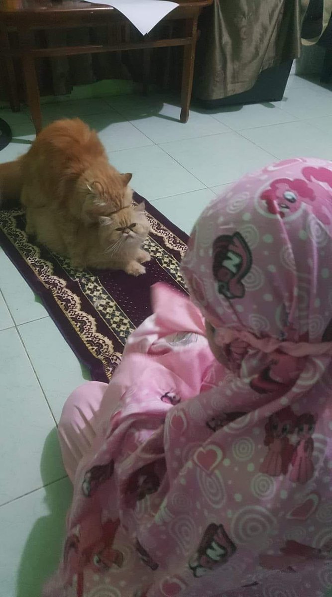 recehtapisayng's tweet image. Kebangetan lo cing