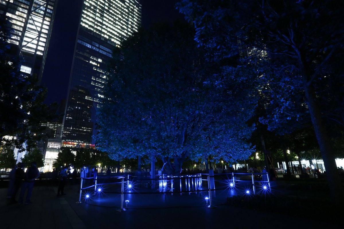 9/11 Memorial & Museum (@sept11memorial) on Twitter photo On the 19th anniversary of 9/11, mementos and tributes were left by family members and visitors throughout the afternoon and into the evening. At dusk, #TributeinLight illuminated the night sky until the early hours of Sept. 12. 911memorial.io/2ZsOVNF #Honor911 #911Memorial On the 19th anniversary of 9/11, mementos and tributes were left by family members and visitors throughout the afternoon and into the evening. At dusk, #TributeinLight illuminated the night sky until the early hours of Sept. 12. 911memorial.io/2ZsOVNF #Honor911 #911Memorial