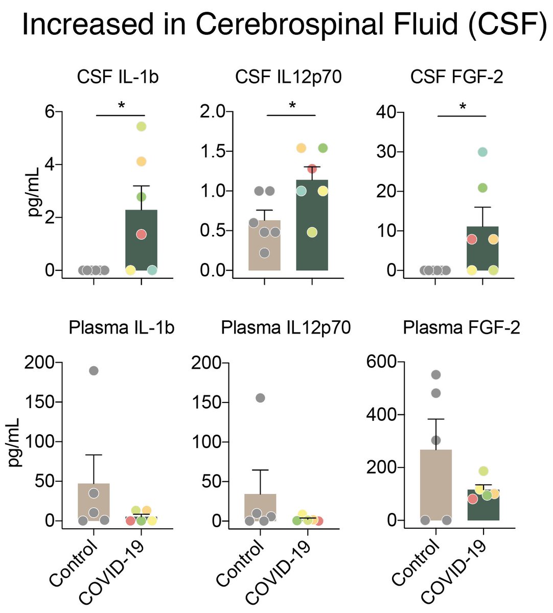 There is a lot of questions around how cytokine storms can affect the brain, so we started with a cytokine panel of matching CSF and plasma from patients. Surprisingly, we noticed that the patients had unique cytokines upregulated in each compartment. 4/n