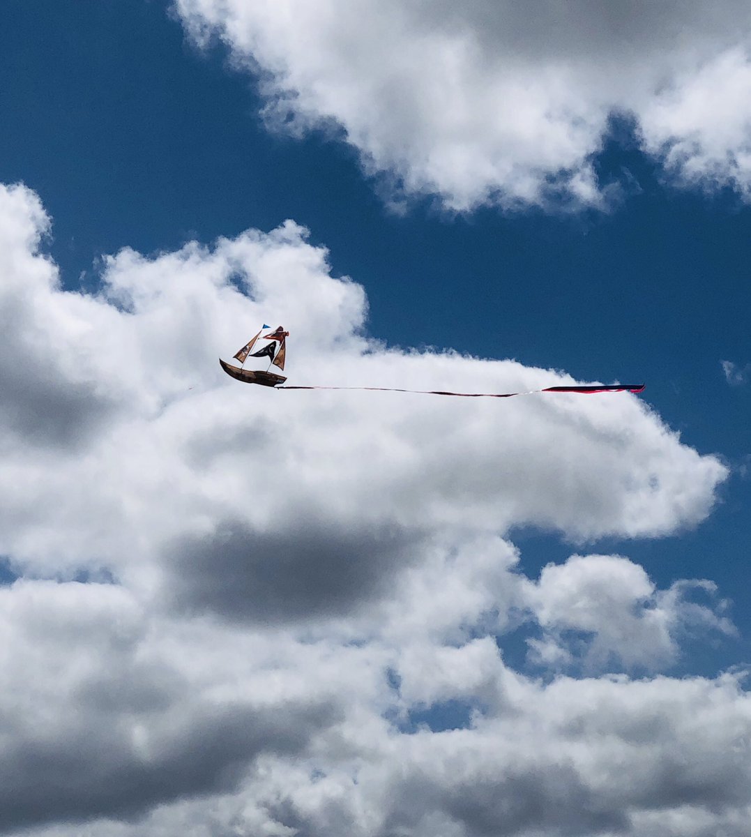 iGraceWhite's tweet photo. #kites #earlyamwalk https://t.co/hqzxSq8fLC