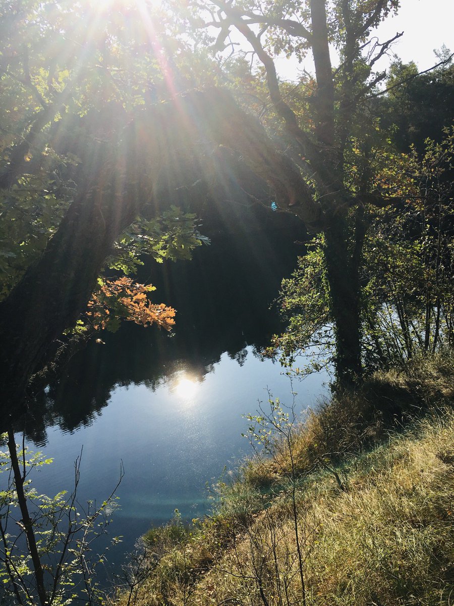 Nath_CASTEX's tweet photo. Une journée magnifique, une eau à 22 degrés, des compétiteurs motivés, des paysages fantastiques, #Enedis est fière d être partenaire de la 2 éme édition du #swimrun des Gorges de la Loire.. #cd43, #CD42 https://t.co/i0Ah50tX5g