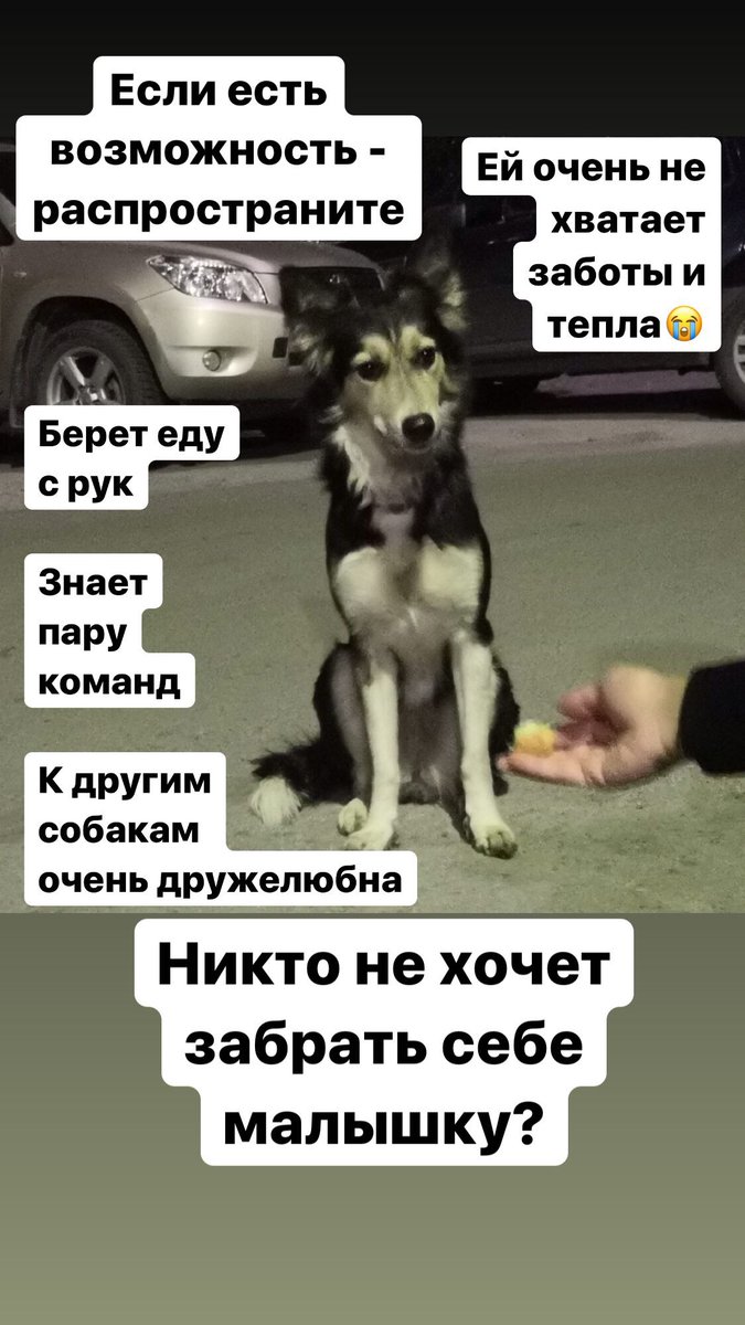 Новосибирск, отзовитесь