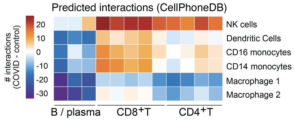 We noticed that the CSF cells were also increasing in predicted interactions using CellphoneDB from the Teichmann and Vento-Tormo Labs; suggesting that the CNS was harboring a coordinated immune response against something. 6/n