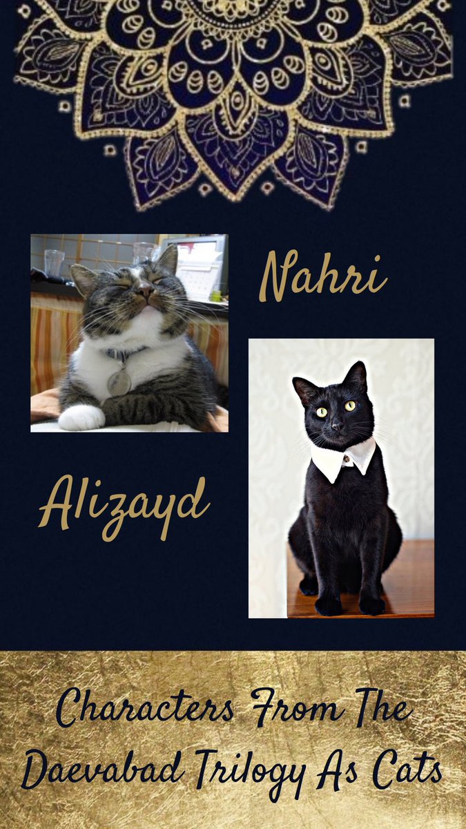 So I thought I would share these on here too! Characters from the  #Daevabad trilogy by  @SAChakrabooks as cats!First here is Nahri just after conning a man and Ali looking like his startled self! #thecityofbrass  #thekingdomofcopper  #theempireofgold
