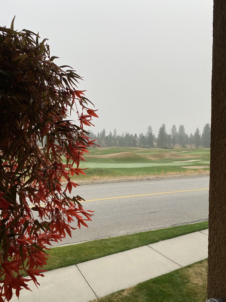mimigi19's tweet photo. The smoke from the West Coast fires has reached the Okanagan. Hoping for rain! https://t.co/GtGaqhSZ03