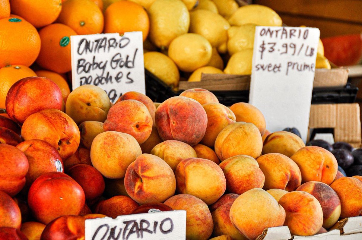 BroadviewDanBIA's tweet photo. Peach season is coming to an end. Grab the last of #Ontario #Peaches at your nearest grocer today! Have any favourite recipes with peaches? Share them in comments below!
#farmerfruitmarket #onthedanforth https://t.co/NrWHQEEL4J