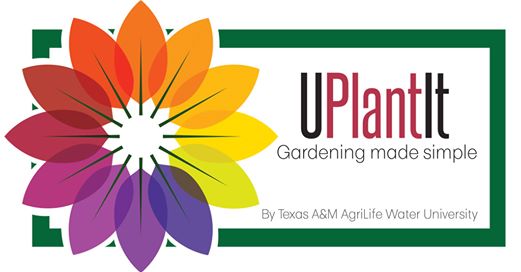 ArlingtonWater's tweet photo. There’s only a week left to purchase your UPLantIt pollinator garden kit from @AgriLifeWaterU. Tarrant County residents can receive a $20 rebate. Head to
https://t.co/BzZXNDs77u to find out more. https://t.co/kN88vnhVPd
