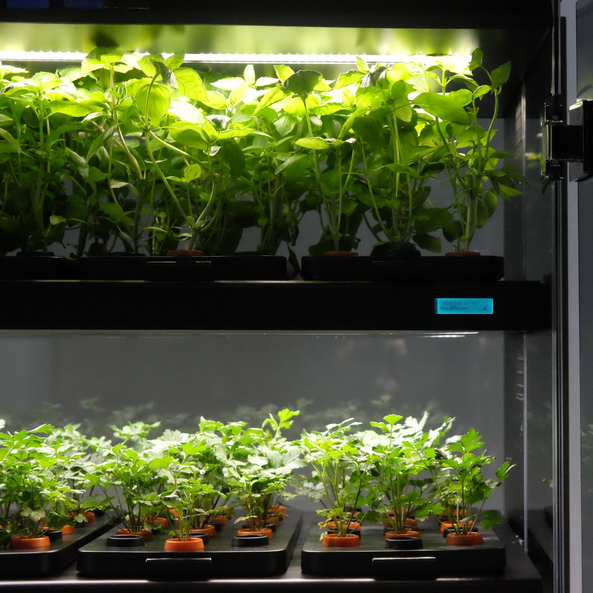 Lights, cameras.. PLANTS! 🌱 Our cameras and sensors make it possible for anyone to grow nutritious food, no green thumb required.
.
.
#smartindoorfarm #freshproduce #homegrownveggies #eatfresh #freshfoods #eathealthy  #healthymeals #goodeats #foodlife #chef #eatingwell