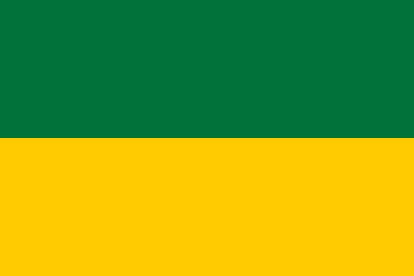 RasciaGov's tweet photo. This is our new flag, by this we proclaim independence and freedom! https://t.co/Ub58hxq2oP