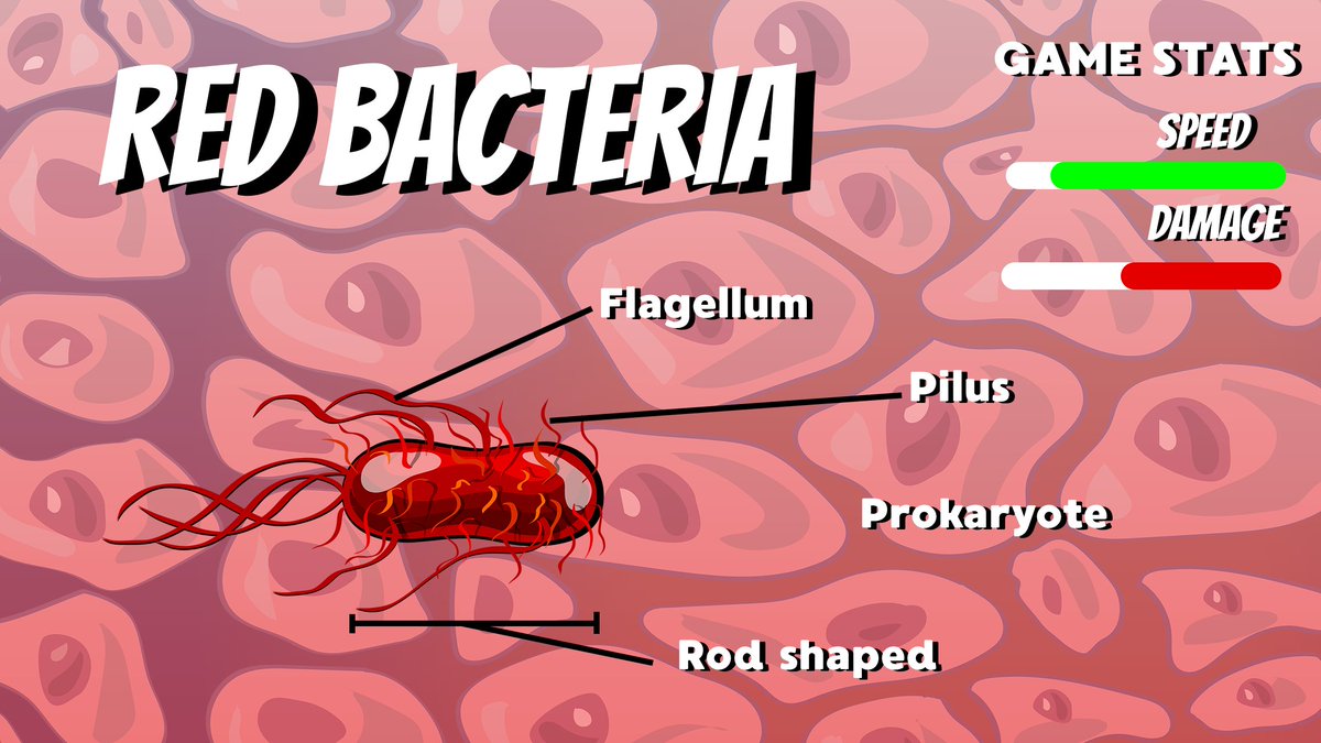 InfxnDefense's tweet photo. #MicrobiologyMonday 
Many bacteria have a #flagellum 
A flagellum is a tail-like structure that helps bacteria move! In Infection Defense, some enemies have more flagella than others, making them faster! Destroy these enemies first as they can get to the blood faster.

#KNOWLEDGE https://t.co/x4hWGfktAu