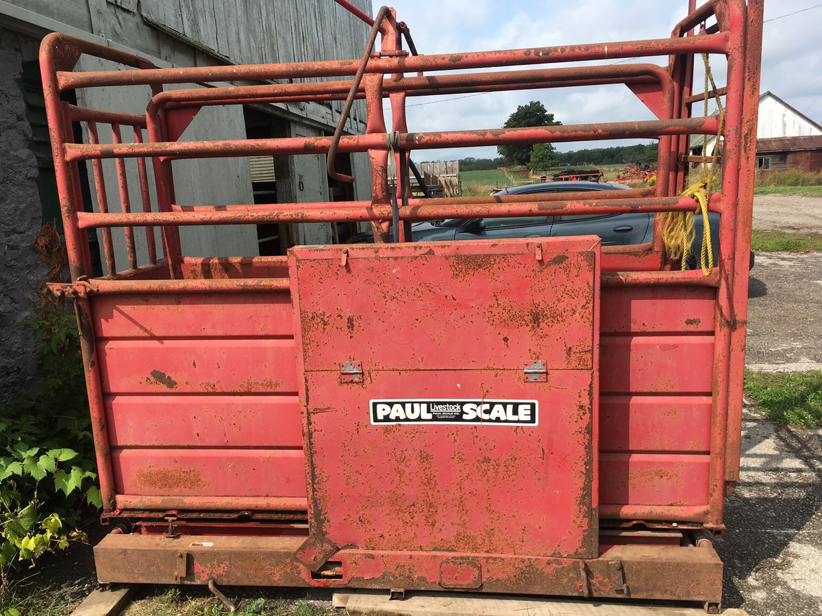 scomaclivestock's tweet photo. Been borrowing scales for weaning weights for a long time. But we just picked up our owns set of scales finally! #CanadianAngus #CAPP https://t.co/Vka7WKTHen