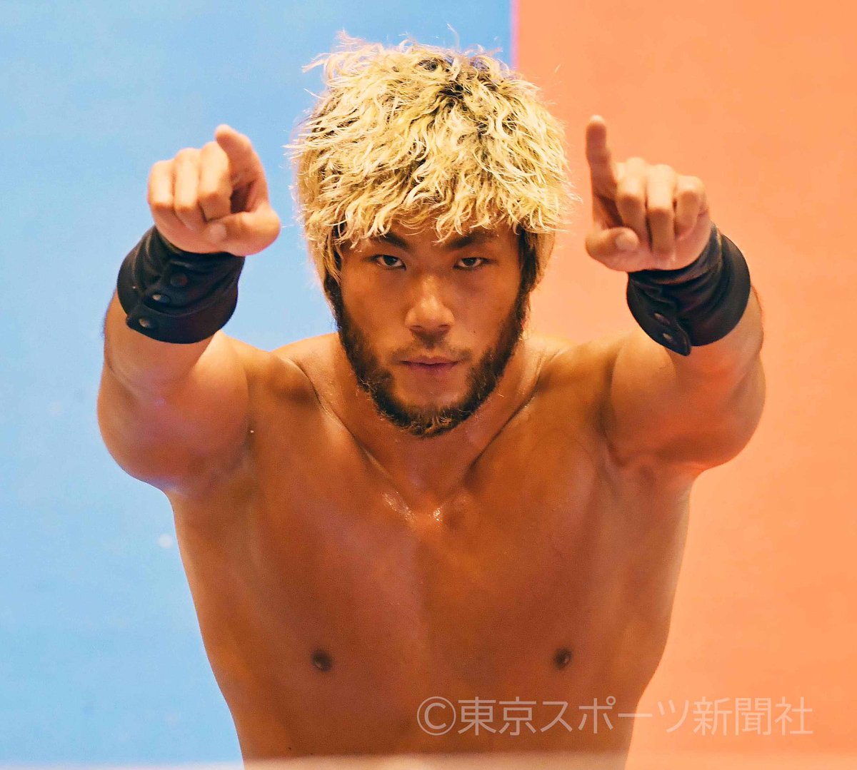 Wrestlers pointing: a brief thread: