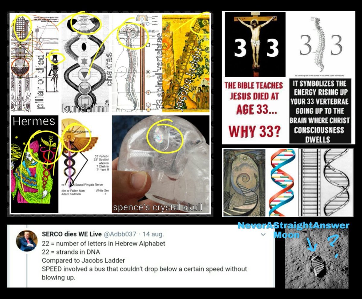 So about that ladder, let’s apply the that to The Bible and spirituality. What about Jacob’s Ladder? (Spine and DNA)