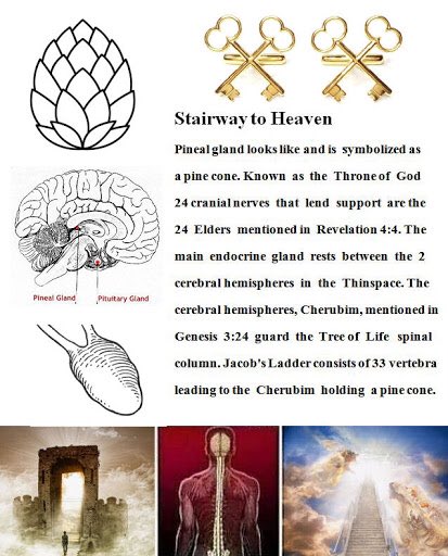 This is just a small and vague thread, on purpose. DIG! The Great Awakening is about all of this, and more. The TRUTH of how we were created to be. [They] have kept you from this.