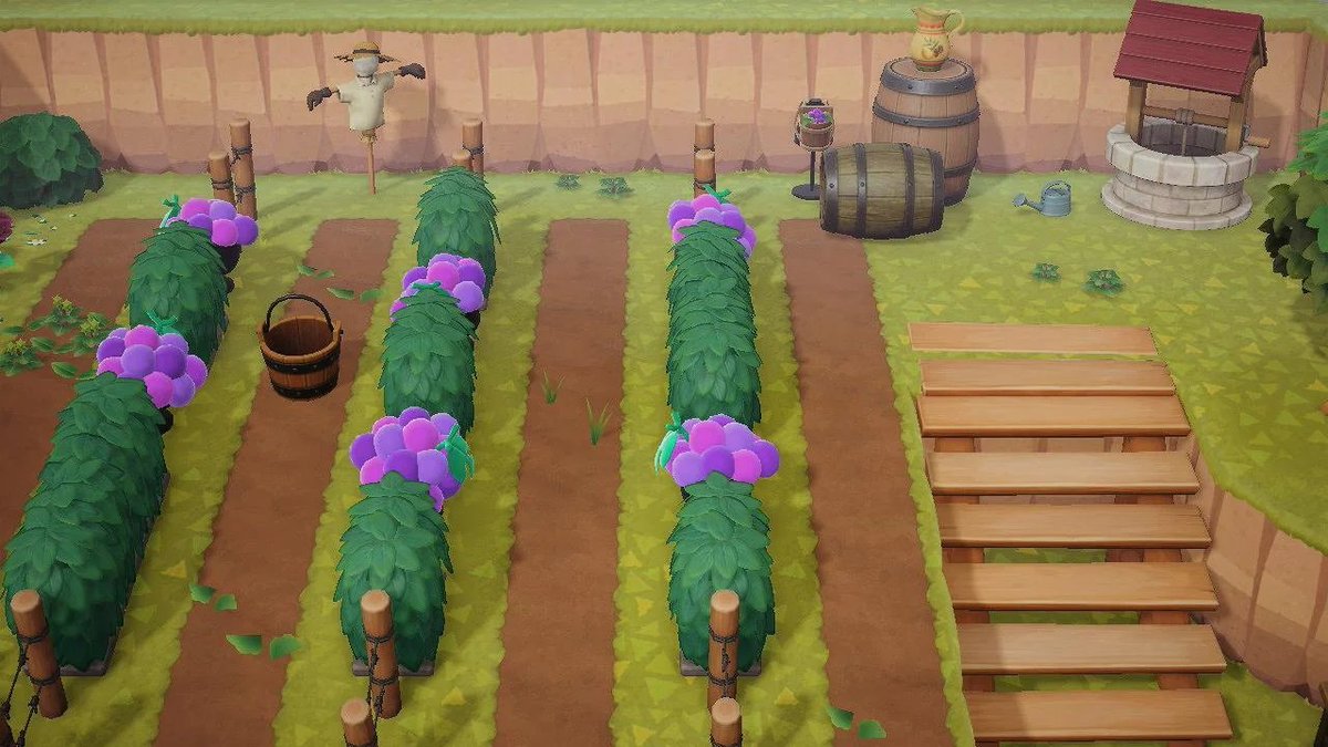 247. Des vignes ! (Source :  https://www.reddit.com/r/AnimalCrossing/comments/irwxa2/living_in_a_wine_region_irl_im_super_proud_of_my/)