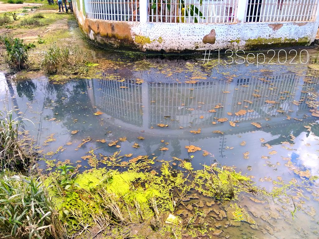 AlvaroMitrotti's tweet photo. ¿Será que a @MarcoTorresPSUV lo tienen engañado y no sabe ésto?

¿Será que @Mary_RomeroP no le ha informado que hay votantes metidos en ESTAS AGUAS NEGRAS EMPOZADAS DESDE HACE 13 DÍAS?

¿Ya pasó lo viral de lo de El Limón y ahora sí la gente de #MataRedonda merece ser atendida? https://t.co/EbuqdnRg0p