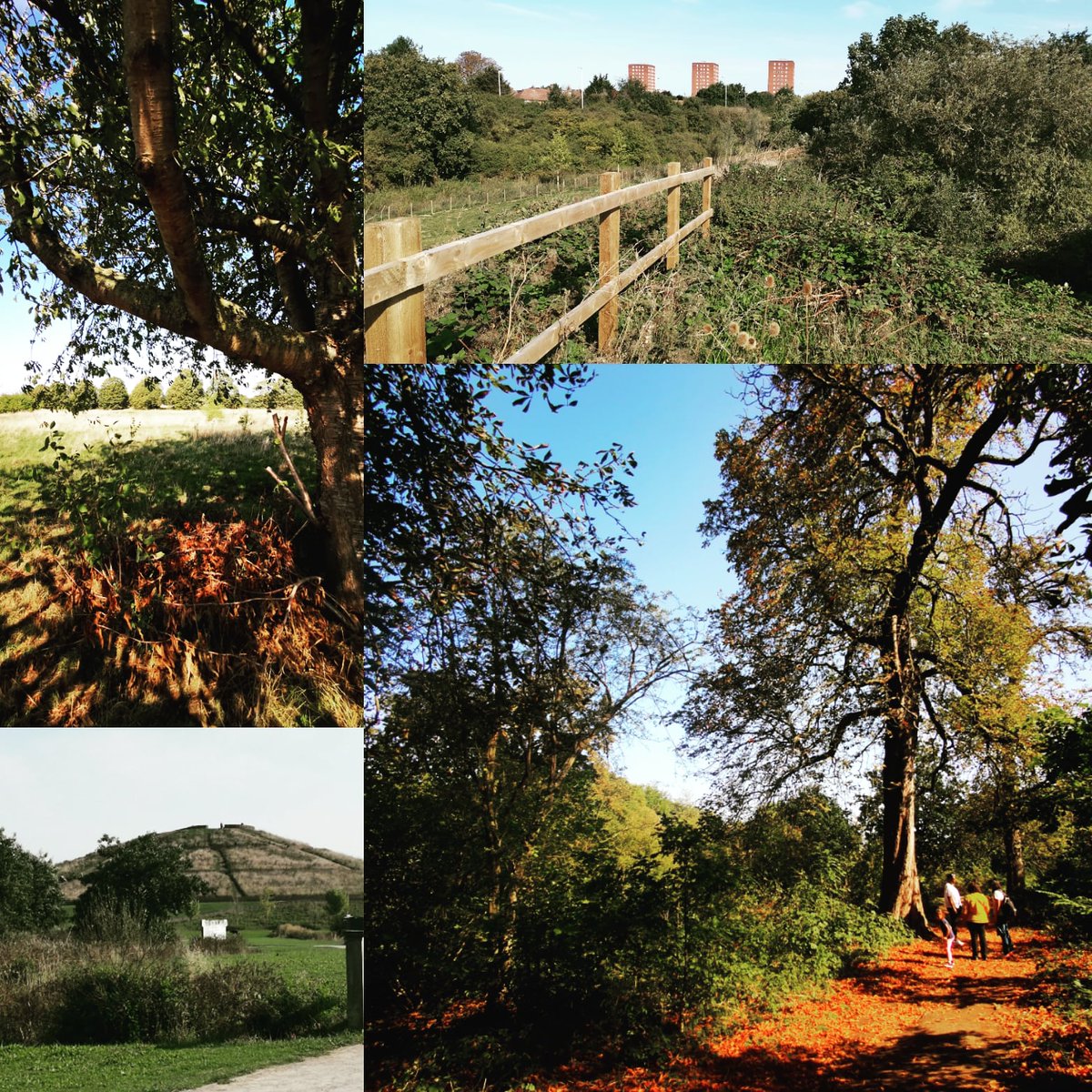 WanderfulLdn's tweet photo. Today I managed to visit not one but FOUR locations on the #greengroundmap!!!
Northala Fields, Minet County Park, Warren Farm and Long woods 💖
Just what Sundays are for!! 😊
@HelenIlus @LondonNPC @WildlifeEaling @EalingCouncil #greenground https://t.co/gt54RmSGYR