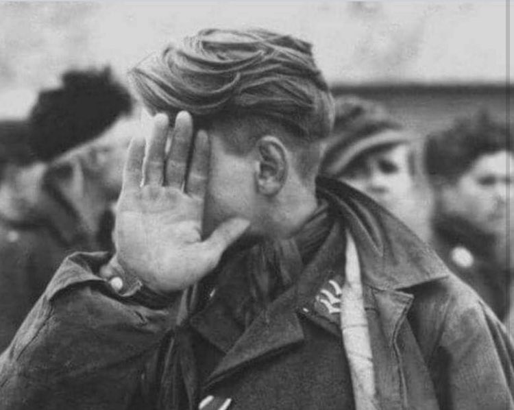 포르코 사진 한 장만 남기자니까