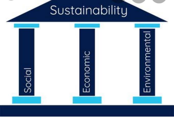 #Youthclimatecouncil2020 We need to balance these three pillars (Society, Economy & Environment) if we are to achieve our goal of 'Sustainable Cities by 2030' @WWFUganda @PlanUganda @KCCAUG