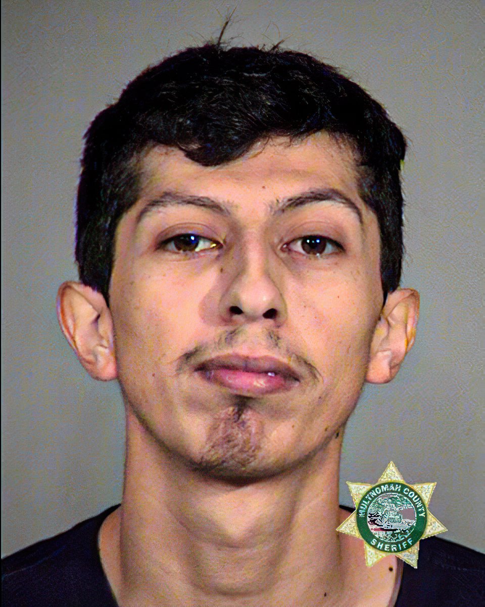 Arrested at the violent  #antifa protest, charged w/criminal offenses & quickly released without bail:Jackson Tudela, 24, arrested again: felony assault of an officer & more https://archive.vn/GPsfe Chris Baltazar, 27, of Fontana, Cal.  https://archive.vn/D488W  #PortlandMugshots