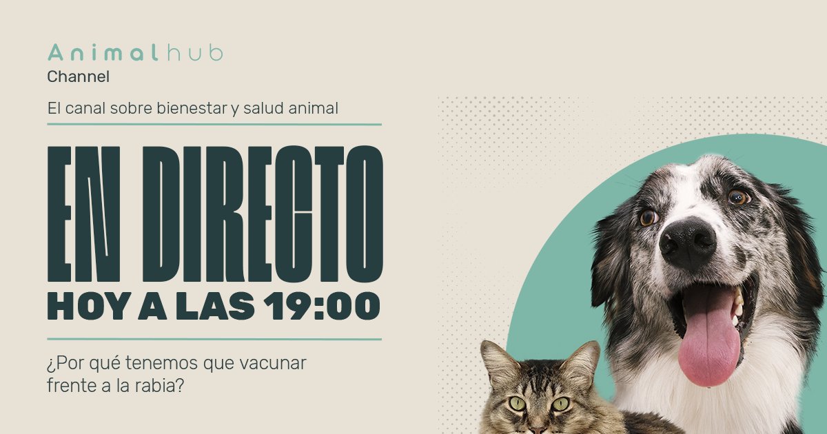 Animalhub_es's tweet photo. ¿Sabías por qué hoy 28 de septiembre es el #DíaMundialdelaRabia? Fue el día en el que falleció Louis Pasteur, creador de la primera vacuna contra esta enfermedad 💉
¡Os esperamos en #AnimalHubChannel19!
▶️ https://t.co/bJtwb8g2d8
@MSDAH_es @ceve_vet @ocvespana @anavet @afparron https://t.co/7K0ULow8yl