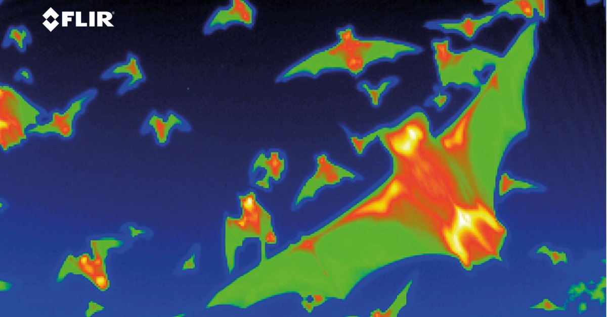 It’s widely accepted that radar should be paired with an optical means of locating and engaging UAVs. However, they often have a low thermal signature, which means advanced thermals may not pick them up against the background air temperature.