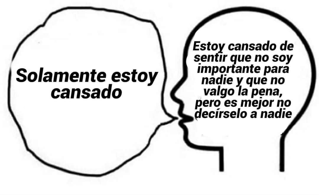 AyluSilvero's tweet photo. https://t.co/ujSNKT9VPN