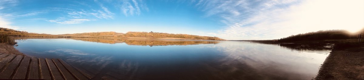 First fall in Alberta 😇 #albertaphoto #canadaphoto #edmonton #edmontonviews