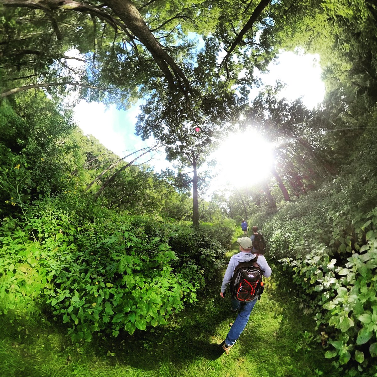 SouthernMinnGuy's tweet photo. https://t.co/d1z7oqbQbi today: 
Forestville/Mystery Cave State Park

#360pix #tinyplanet #Minnesota #MNtravel #OnlyinMN #ExploreMinnesota #FillmoreCountyMN #MNStateParks #travel #photography #nature #outdoors #hiking @mnstateparks https://t.co/VUkBokYEXa
